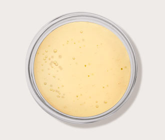 Lactobacillus Ferment
